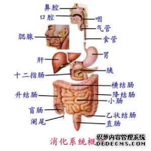 結(jié)腸炎怎么回事？